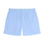 Anointed Garments light blue striped casual shorts with an elastic waistband and button detail.