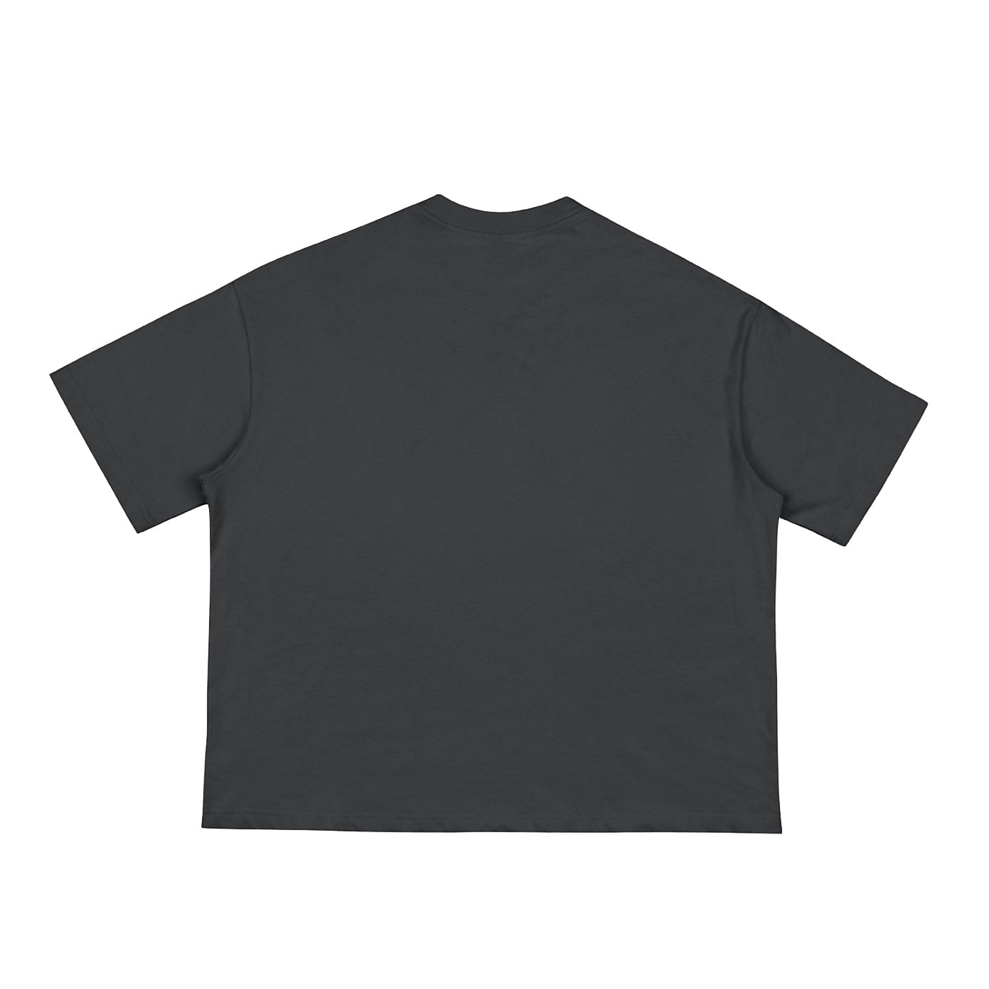 Back view of an Anointed Garments charcoal grey cotton t-shirt with a relaxed drop shoulder fit and crew neckline.